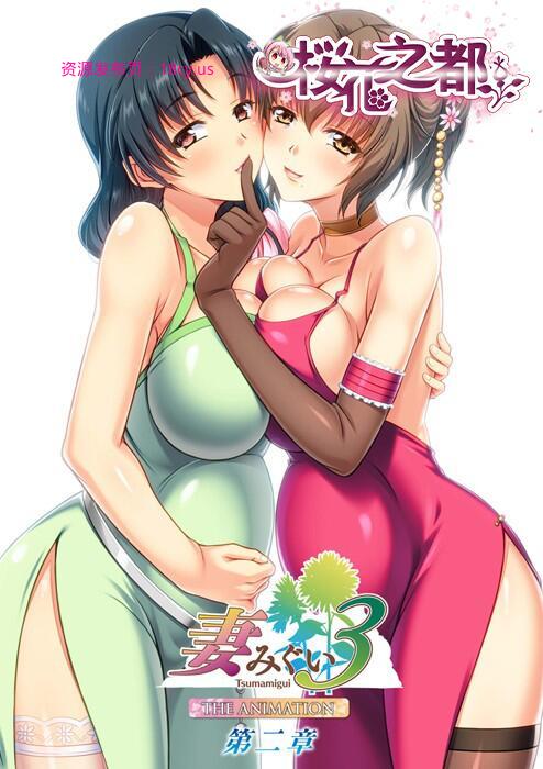 妻みぐい3 THE ANIMATION 第二章.jpg