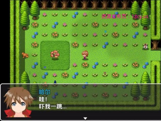 BandiView_预览图_09.jpg