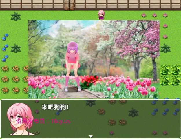 BandiView_预览图_02.jpg
